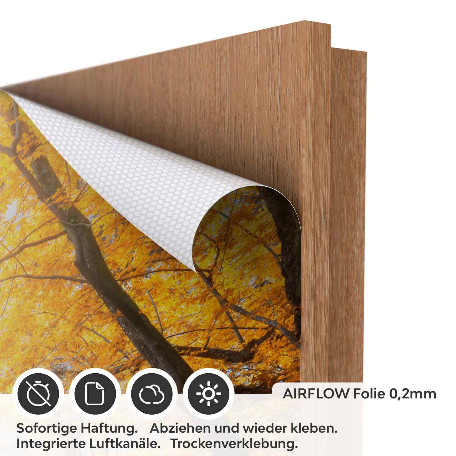Türfolie Pfad durch den Wald AIRFLOW Folie
