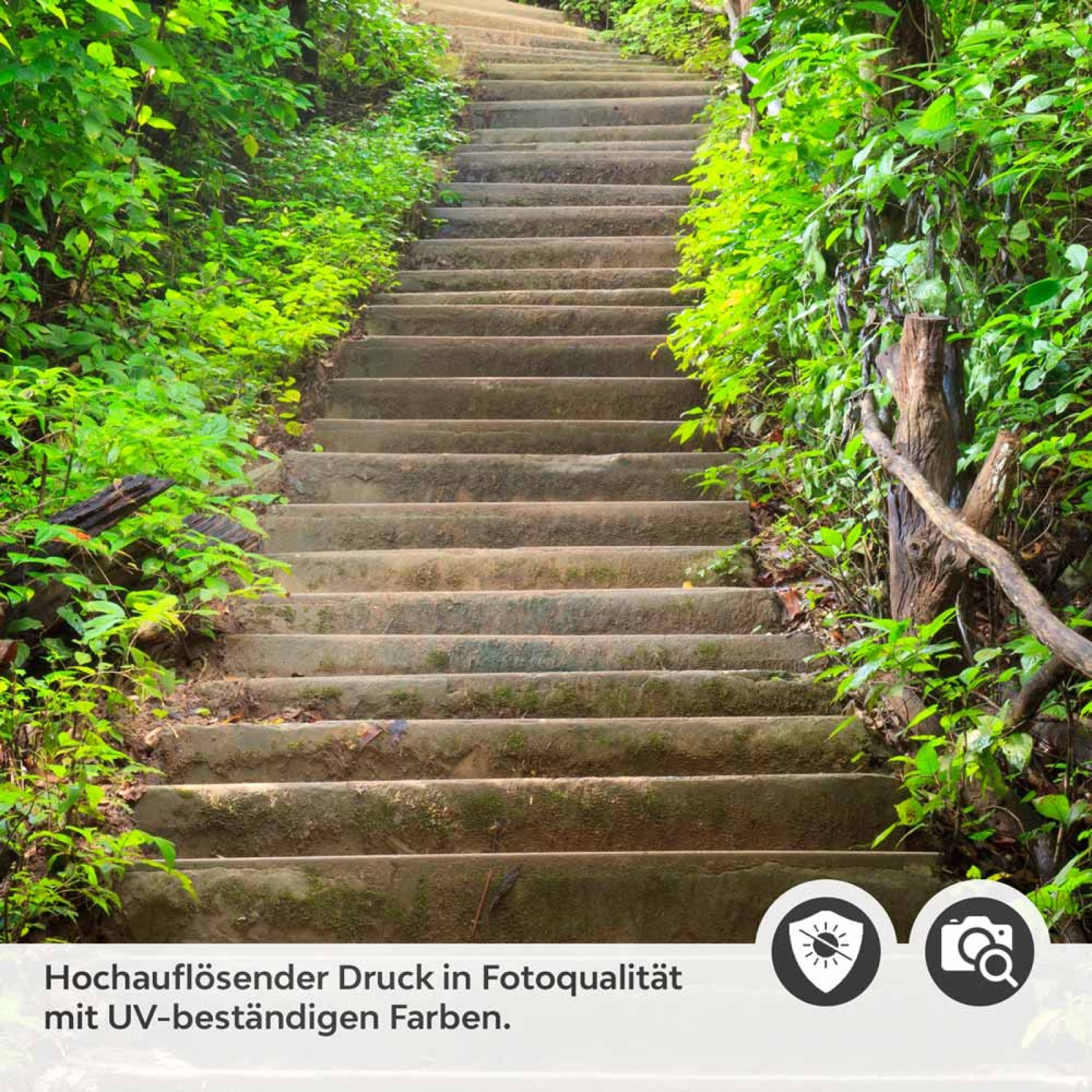 Türfolie Waldweg Treppe Detailbild 2