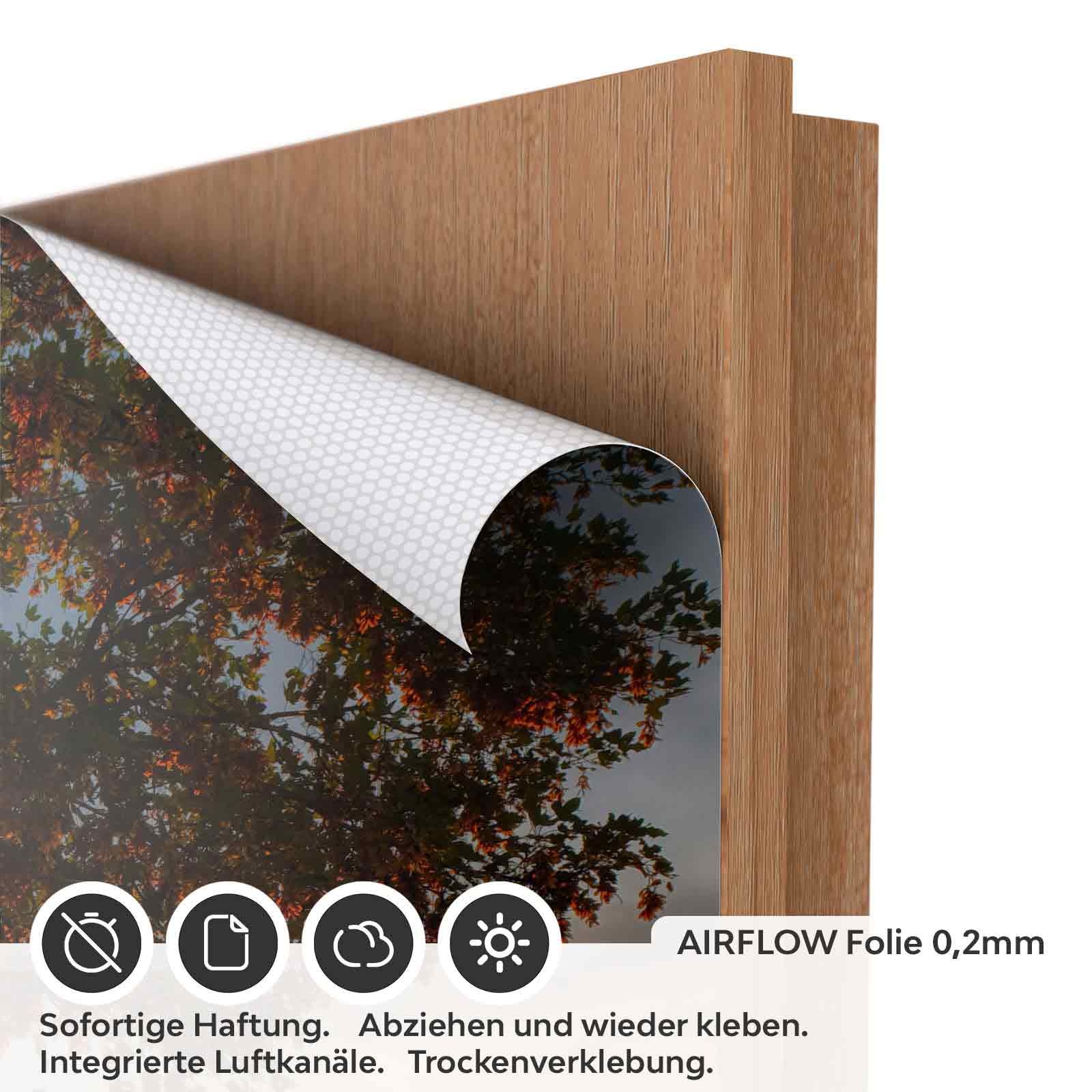 Türfolie ländlicher Weg AIRFLOW Folie