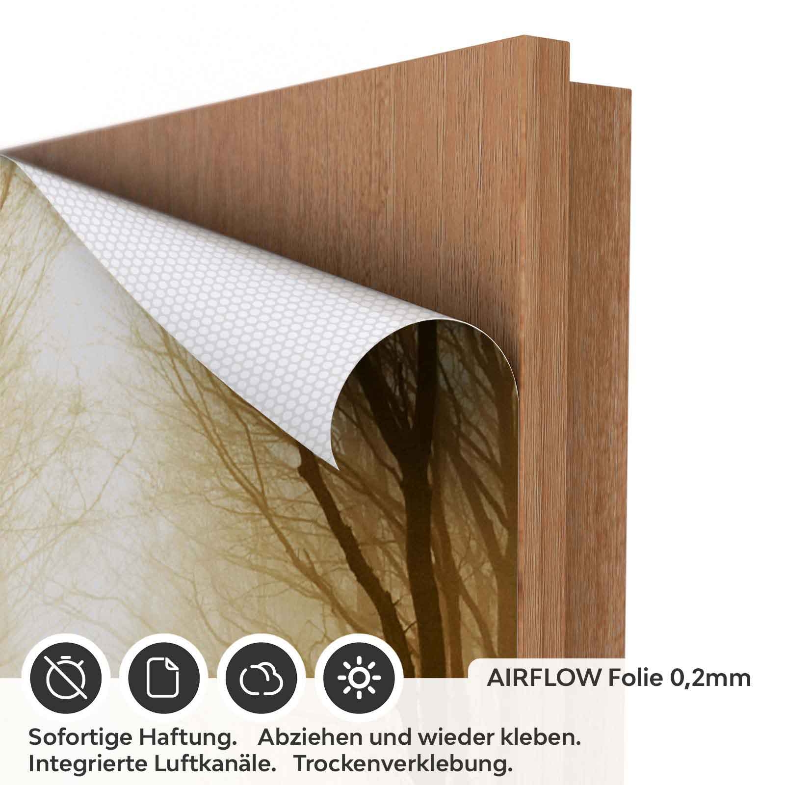 Türfolie nebeliger Pfad durch den Wald AIRFLOW Folie
