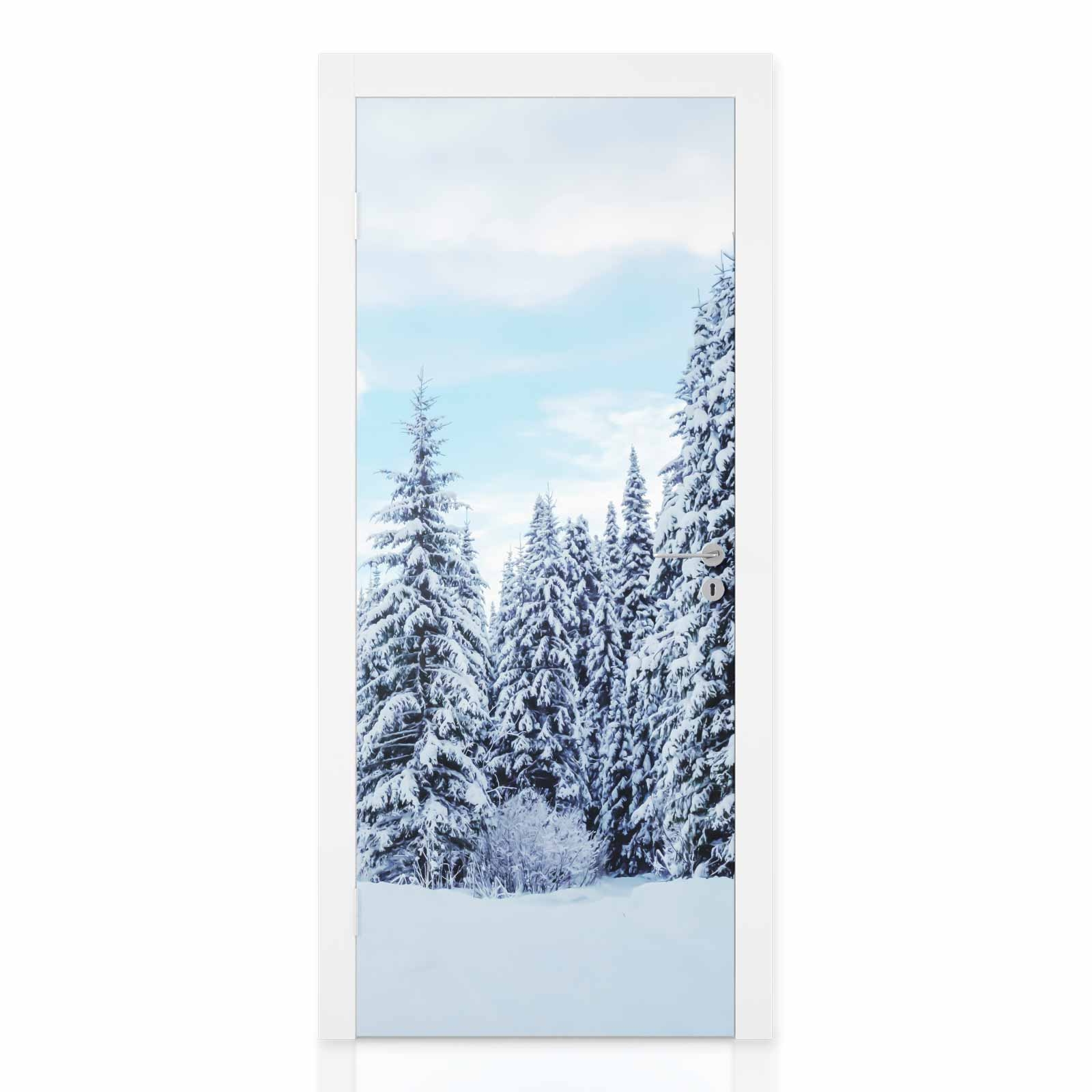 Türfolie Winterwald im Morgenlicht Hauptbild