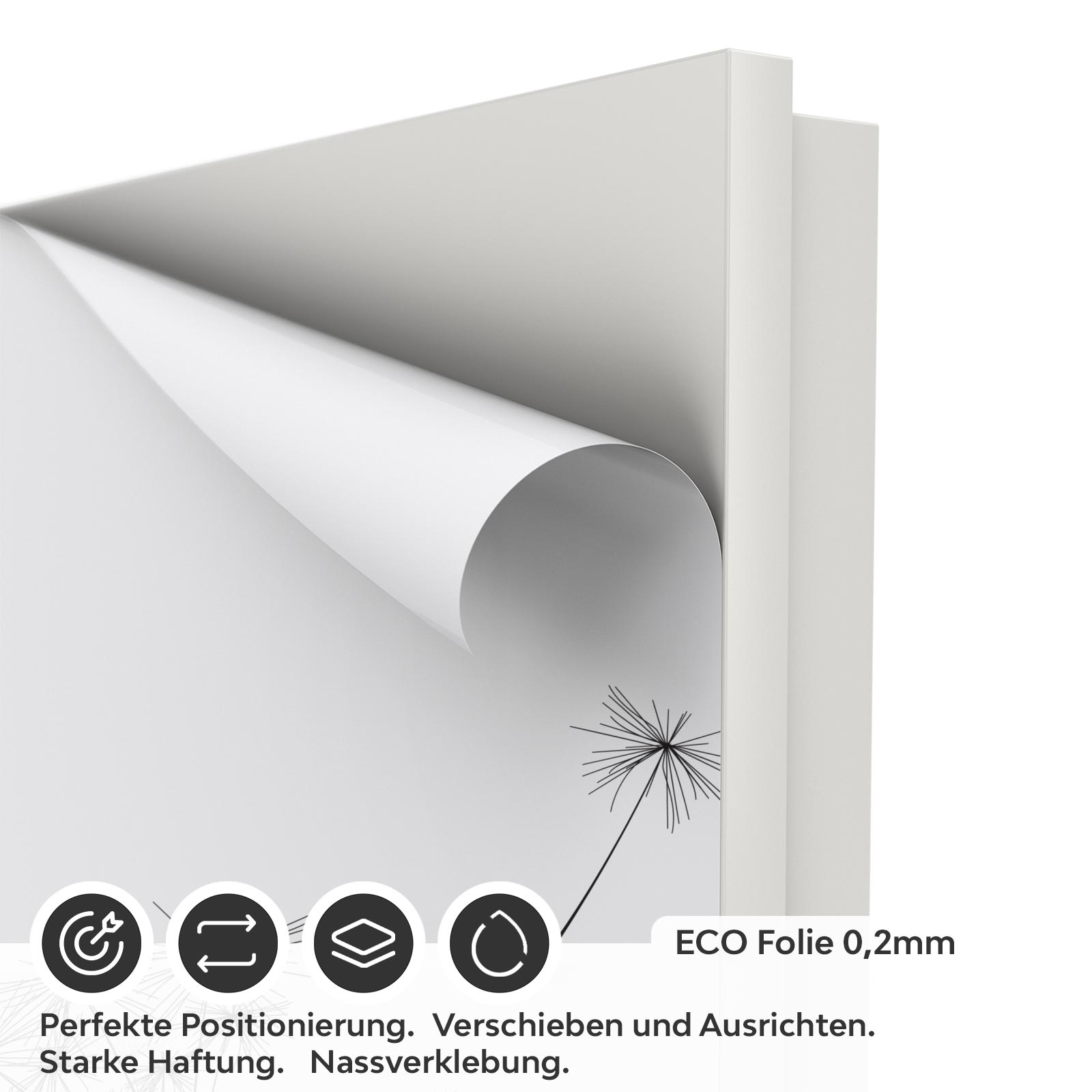 Türfolie Türfolie Zarte Pusteblumen ECO Folie