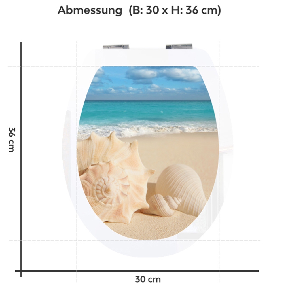WC-Deckel Aufkleber Muschel am Meer Variante 30 x 36 cm