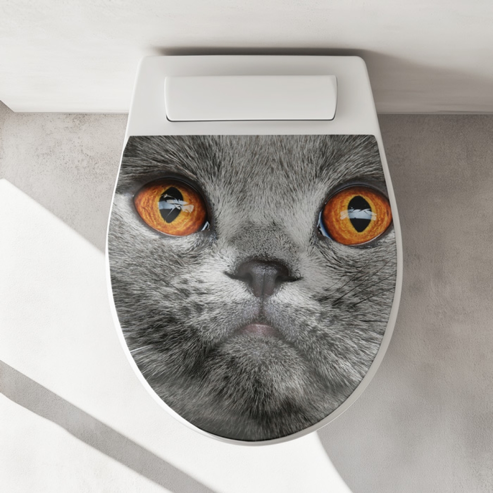 WC-Deckel Aufkleber graue Katze mit orangenen Augen Artikelbild 1
