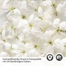 Mobile Preview: Küchenrückwand Folie weiße Kirschblüten Detailbild 2