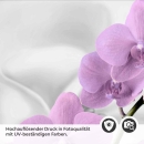Mobile Preview: Küchenrückwand Folie Orchidee Design Detailbild 2