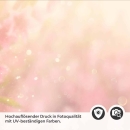 Mobile Preview: Küchenrückwand Folie rosa Blumen Detailbild 2