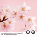 Mobile Preview: Küchenrückwand Folie Kirchblüten Detailbild 2