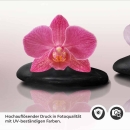Mobile Preview: Küchenrückwand Folie Orchidee & Zen Steine Detailbild 2