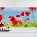 Mobile Preview: Küchenrückwand Folie Mohnblumen Feld Hauptbild