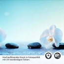 Mobile Preview: Küchenrückwand Folie weiße Orchideen Detailbild 2