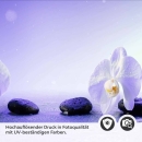 Mobile Preview: Küchenrückwand Folie Orchideen in Harmonie Detailbild 2