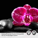 Mobile Preview: Küchenrückwand Folie pinke Orchideen Detailbild 2