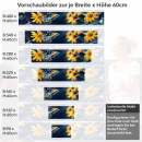 Mobile Preview: Küchenrückwand Folie Sonnenauge & Schmetterling Höhe 60cm