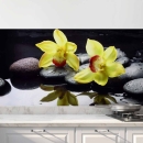 Mobile Preview: Küchenrückwand Folie gelbe Orchideen Hauptbild