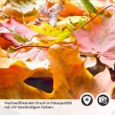 Mobile Preview: Küchenrückwand Folie Herbstblätter Detailbild 2