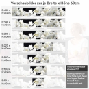 Mobile Preview: Küchenrückwand Folie weiße Orchideen - Eleganz auf dunklem Hintergrund Höhe 60cm