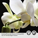 Mobile Preview: Küchenrückwand Folie weiße Orchideen - Zeitloser Stil für moderne Küchen Detailbild 2