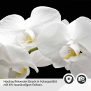 Mobile Preview: Küchenrückwand Folie weiße Orchideen - Modernes Design mit edlen Akzenten Detailbild 2