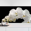 Mobile Preview: Küchenrückwand Folie weiße Orchideen - Modernes Design mit edlen Akzenten Hauptbild