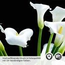 Mobile Preview: Küchenrückwand Folie weiße Calla-Lilien Detailbild 2