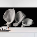 Mobile Preview: Küchenrückwand Folie monochrome Blumen - Stilvolle Calla-Lilien Hauptbild