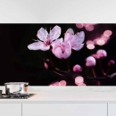 Mobile Preview: Küchenrückwand Folie Kirschblüte - Dunkler Hintergrund mit Bokeh Hauptbild