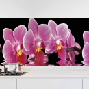 Mobile Preview: Küchenrückwand Folie Orchideen Pink - Pink auf Schwarz Hauptbild