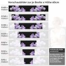 Mobile Preview: Küchenrückwand Folie Krokusblüten - edles Lila auf Schwarz Höhe 60cm
