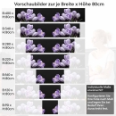 Mobile Preview: Küchenrückwand Folie Krokusblüten - edles Lila auf Schwarz Höhe 80cm