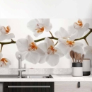 Mobile Preview: Küchenrückwand Folie Weiße Orchideen – Harmonie für Ihre Küche Hauptbild