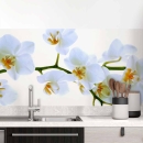 Mobile Preview: Küchenrückwand Folie Weiße Blüten – Perfekt für moderne Küchen Hauptbild