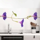 Mobile Preview: Küchenrückwand Folie Rankenblüten - Natürliche Schönheit für Ihre Wand Hauptbild