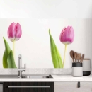 Mobile Preview: Küchenrückwand Folie rosa Tulpen - Frühlingshafte Leichtigkeit Hauptbild