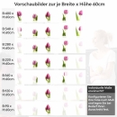 Mobile Preview: Küchenrückwand Folie rosa Tulpen - Frühlingshafte Leichtigkeit Höhe 60cm