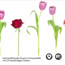 Mobile Preview: Küchenrückwand Folie bunter Blumenmix Detailbild 2