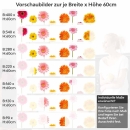 Mobile Preview: Küchenrückwand Folie Blumentraum - Fröhliche Gerbera für Ihre Küche Höhe 60cm