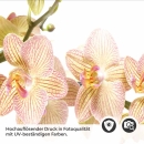 Mobile Preview: Küchenrückwand Folie Orchideenblüten Detailbild 2