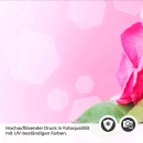 Mobile Preview: Küchenrückwand Folie pinke Rosen Detailbild 2