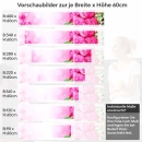 Mobile Preview: Küchenrückwand Folie pinke Rosen Höhe 60cm