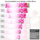 Mobile Preview: Küchenrückwand Folie pinke Rosen Höhe 80cm