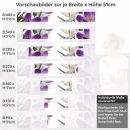 Mobile Preview: Küchenrückwand Folie Krokusblüten Höhe 51cm