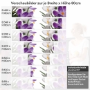 Mobile Preview: Küchenrückwand Folie Krokusblüten Höhe 80cm