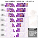 Mobile Preview: Küchenrückwand Folie violette Krokusse Höhe 60cm