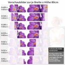 Mobile Preview: Küchenrückwand Folie violette Krokusse Höhe 80cm