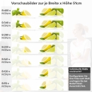 Mobile Preview: Küchenrückwand Folie Zitrusfrucht Variantenauswahl Vorschaubild Höhe 51cm