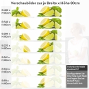 Mobile Preview: Küchenrückwand Folie Zitrusfrucht Variantenauswahl Vorschaubild Höhe 80cm