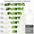 Mobile Preview: Küchenrückwand Folie Limone Variantenauswahl Vorschaubild Höhe 51cm