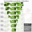 Mobile Preview: Küchenrückwand Folie Zitrusfrucht Variantenauswahl Vorschaubild Höhe 80cm