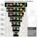 Mobile Preview: Küchenrückwand Folie Meyve Variantenauswahl Vorschaubild Höhe 80cm